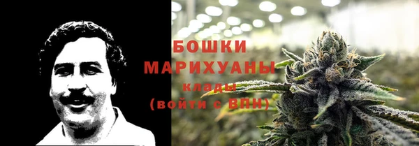 индика Лиски