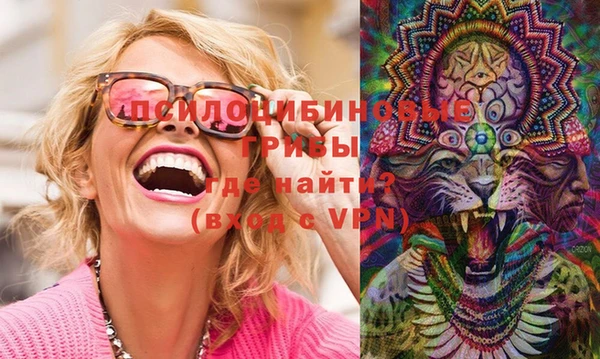 apvp Нижний Тагил