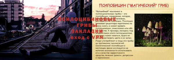стафф Ладушкин
