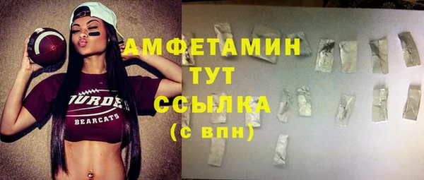 индика Лиски